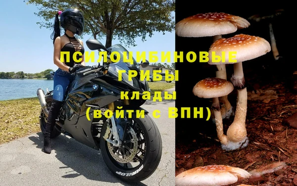 спиды Белокуриха
