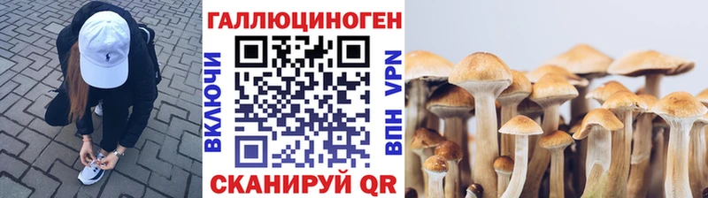 Псилоцибиновые грибы ЛСД  mega как зайти  Называевск  закладка 